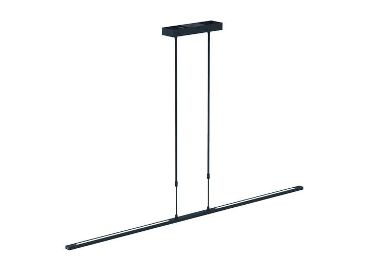 Design hanglamp Zelena zwart Steinhauer - 7971ZW