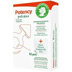 Hanf Gesundheit Potenz-Pflaster für Männer – 12 Stk.