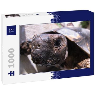 Lais Puzzle Schildkröte 1000 Teile
