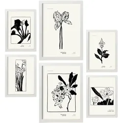 POSTER Set Mit 6 In Schwarzer Tinte Irises A3 & A4 Weißer Rahmen