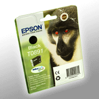 Epson Tinte C13T089140 schwarz T0891