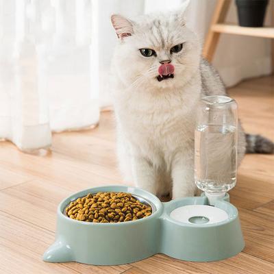 Friendly Fresh Finds Anti Spill Automatic Feeding & Drinking Bowl Set For Dogs And Cats blue