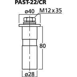  PAST-22CR 