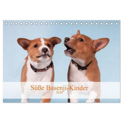 Süße Basenji-Kinder (Tischkalender 2026 DIN A5 quer), CALVENDO Monatskalender
