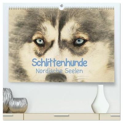 Schlittenhunde - Nordische Seelen (hochwertiger Premium Wandkalender 2027 DIN A2 quer), Kunstdruck in Hochglanz