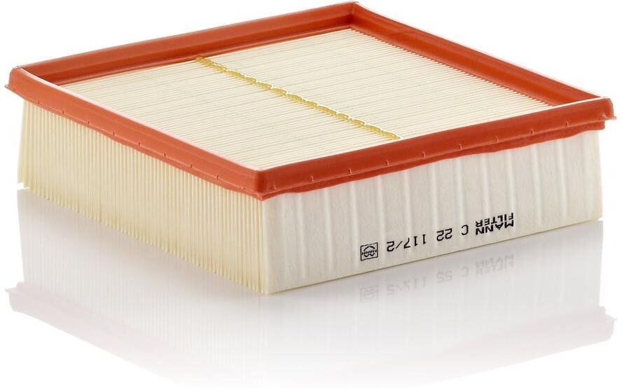MANN-FILTER C 22 117/2 Innenraumfilter