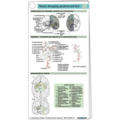 Neuro Imaging pocketcard Set, Taschenbuch von Sebastian von Stuckrad Barre,Stefan Weidauer, Börm Bruckmeier, 978-3-89862-441-1