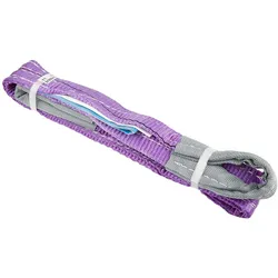 RS PRO, Fördertechnik, Hebeband, Gurtband Violett, 50mm x 1m, 1t