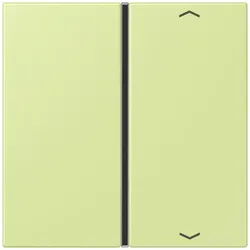 Jung Taste 1fach m. Pfeilsymb. LC 401 TSAP 222
