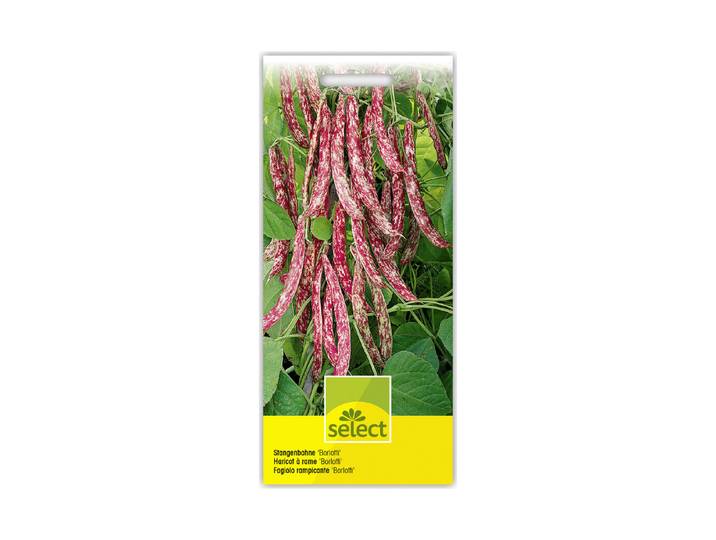 Select Stangenbohne Borlotti