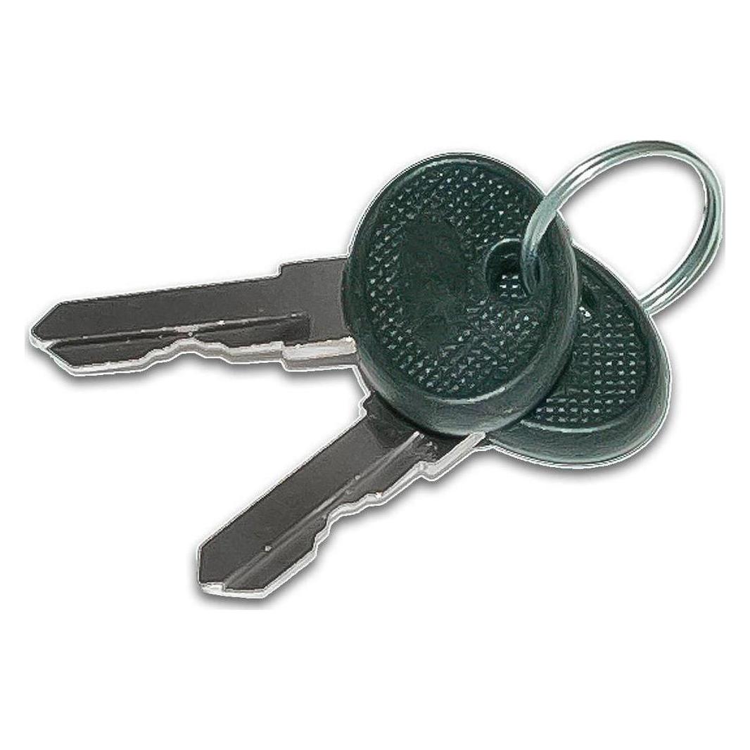 Wirewin Schlüssel für CAB Schränke (CAB KEY)