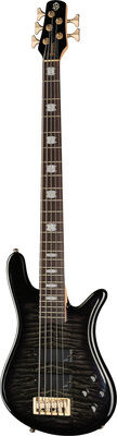 Spector Icon NS-5 Bolt-On BSG Black Stain