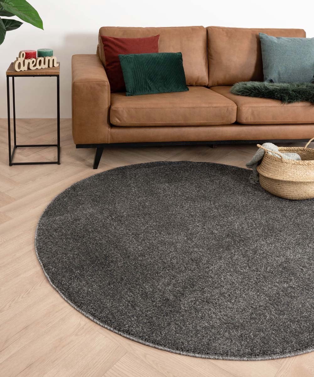 Modern rond vloerkleed Fine grijs 160 cm