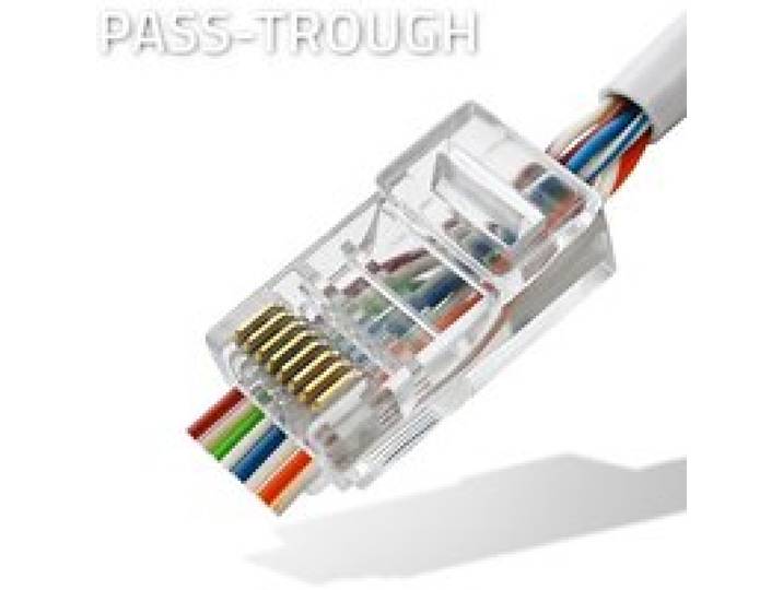 Qoltec Plug via RJ45-connector CAT5e UTP Doorvoer Vergulde contacten 100 stuks