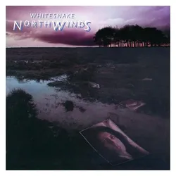 Rhino, Schallplatten, Northwinds(Black Ice Vinyl) (Whitesnake)