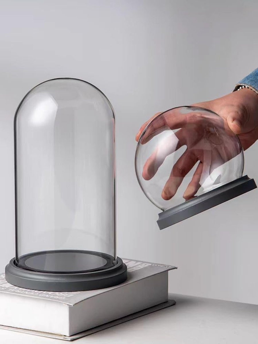 Glazen Stolp met Houten Basis voor Decoratieve Display - Helder