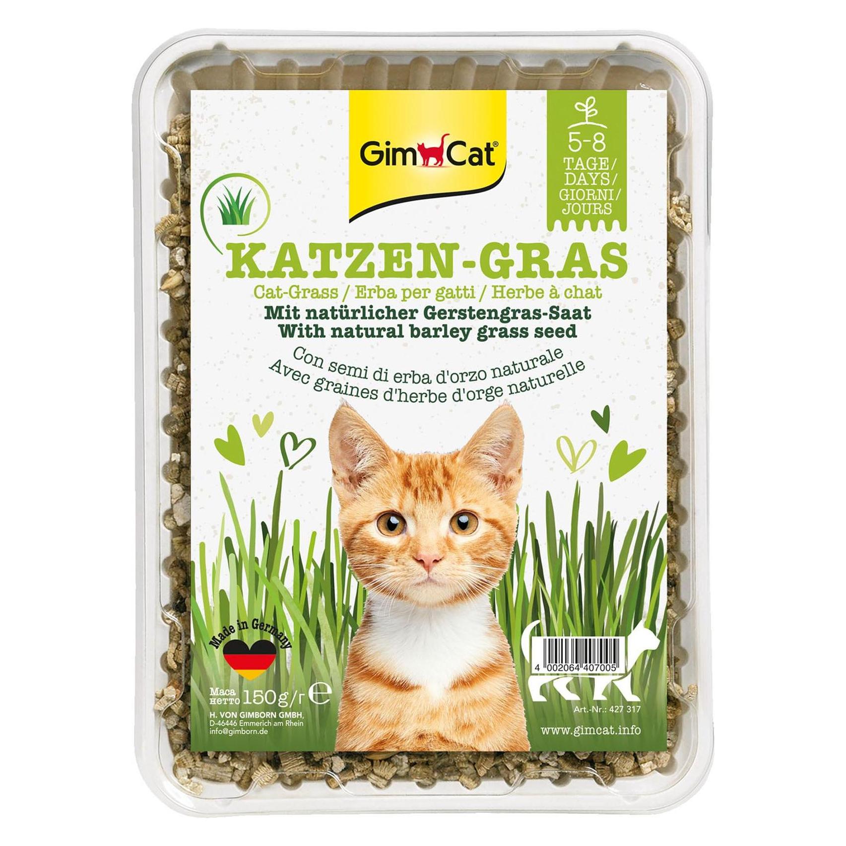 GimCat Katzengras mit natürlicher Gerstengras-Saat (Katzengras) (427317)