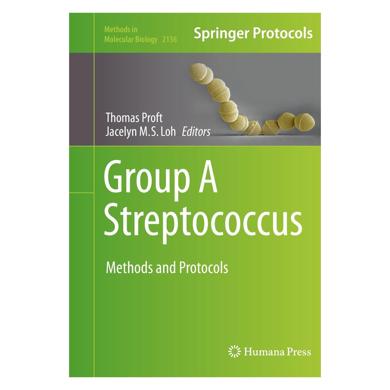 Springer Group A Streptococcus (Englisch, Hardcover, Jacelyn M. S. Loh, Thomas Proft) (9781071604663)