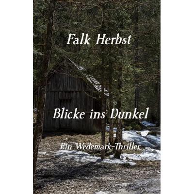 Blicke ins Dunkel, Taschenbuch von Falk Herbst, Epubli, 978-3-565-78395-3