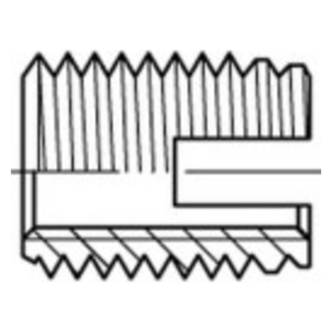 Alstertaler 159841X Gewindeeinsätze M20 88302 Stahl galvanisch verzinkt 10 St. (M20) (159841X)