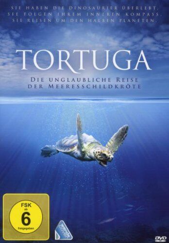 Nick Stringer - Tortuga - Die unglaubliche Reise der Meeresschildkröte - Preis vom 30.09.2026 22:30:23 h