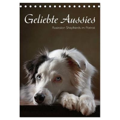 Geliebte Aussies - Australian Shepherds im Portrait (Tischkalender 2026 DIN A5 hoch), CALVENDO Monatskalender