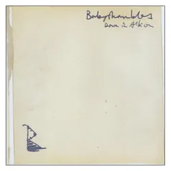 Rough Trade, Schallplatten, Down In Albion (Babyshambles)