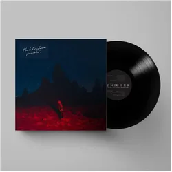 Cargo, Schallplatten, Punisher (Phoebe Bridgers)