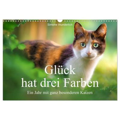 Glück hat drei Farben - ein Jahr mit ganz besonderen Katzen (Wandkalender 2027 DIN A3 quer), CALVENDO Monatskalender