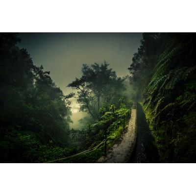 Fototapete PAPERMOON "Photo-Art ROLAND WEBER, LEVADA WALK", bunt, B:5m L:2,8m, Vlies, Tapeten
