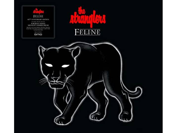 Feline
