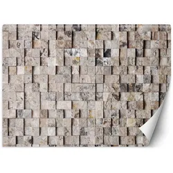 VLIESTAPETE Beige 100/70 cm
