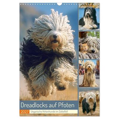 Dreadlocks auf Pfoten. Ungarische Hirtenhunde im Zottelfell (Wandkalender 2027 DIN A3 hoch), CALVENDO Monatskalender