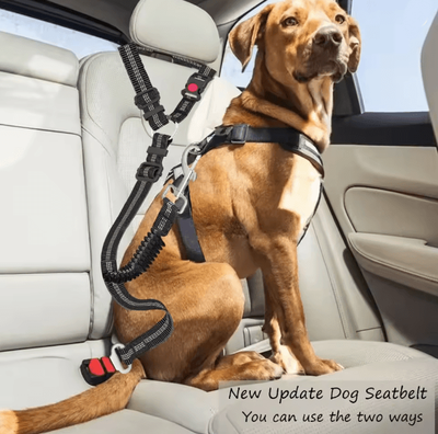 Inspire Essentials Heavy Duty Adjustable Dog Car Seat Belt Safety Leash For Secure Travel Heavy Duty Adjustable Dog Car Seat Belt Safety Leash For Secure Travel