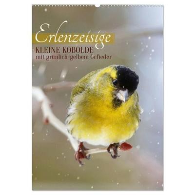 Erlenzeisige, kleine Kobolde (Wandkalender 2027 DIN A2 hoch), CALVENDO Monatskalender
