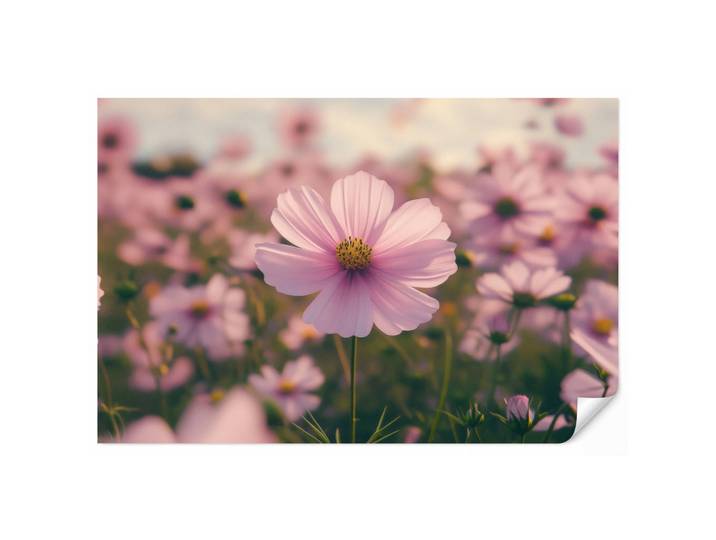 OnlyWow Tapete - Blumen - Lila - Unscharf - 350x220 cm, Rosa, Papier, Rechteckig, 350x220 cm, Tapeten & Wandverkleidungen, Vliestapeten