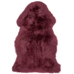 WARM & COMFY Schaffell 100 cm, aubergine Wolle Violett cm