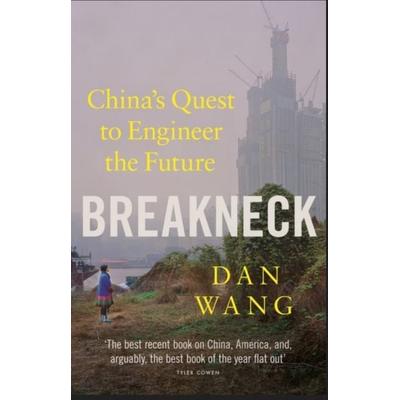 Breakneck, Taschenbuch von Dan Wang, Penguin Books Ltd, 978-1-80206-779-8