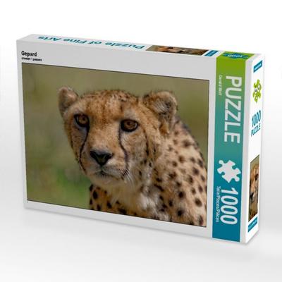 CALVENDO Puzzle Gepard | 1000 Teile Lege-Größe 64x48cm Foto-Puzzle für glückliche Stunden