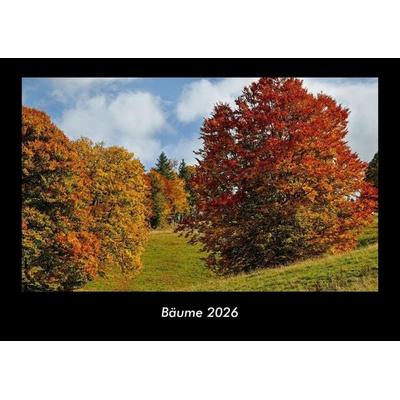 Bäume 2026 Fotokalender DIN A3