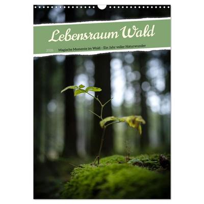 Lebensraum Wald (Wandkalender 2026 DIN A3 hoch), CALVENDO Monatskalender