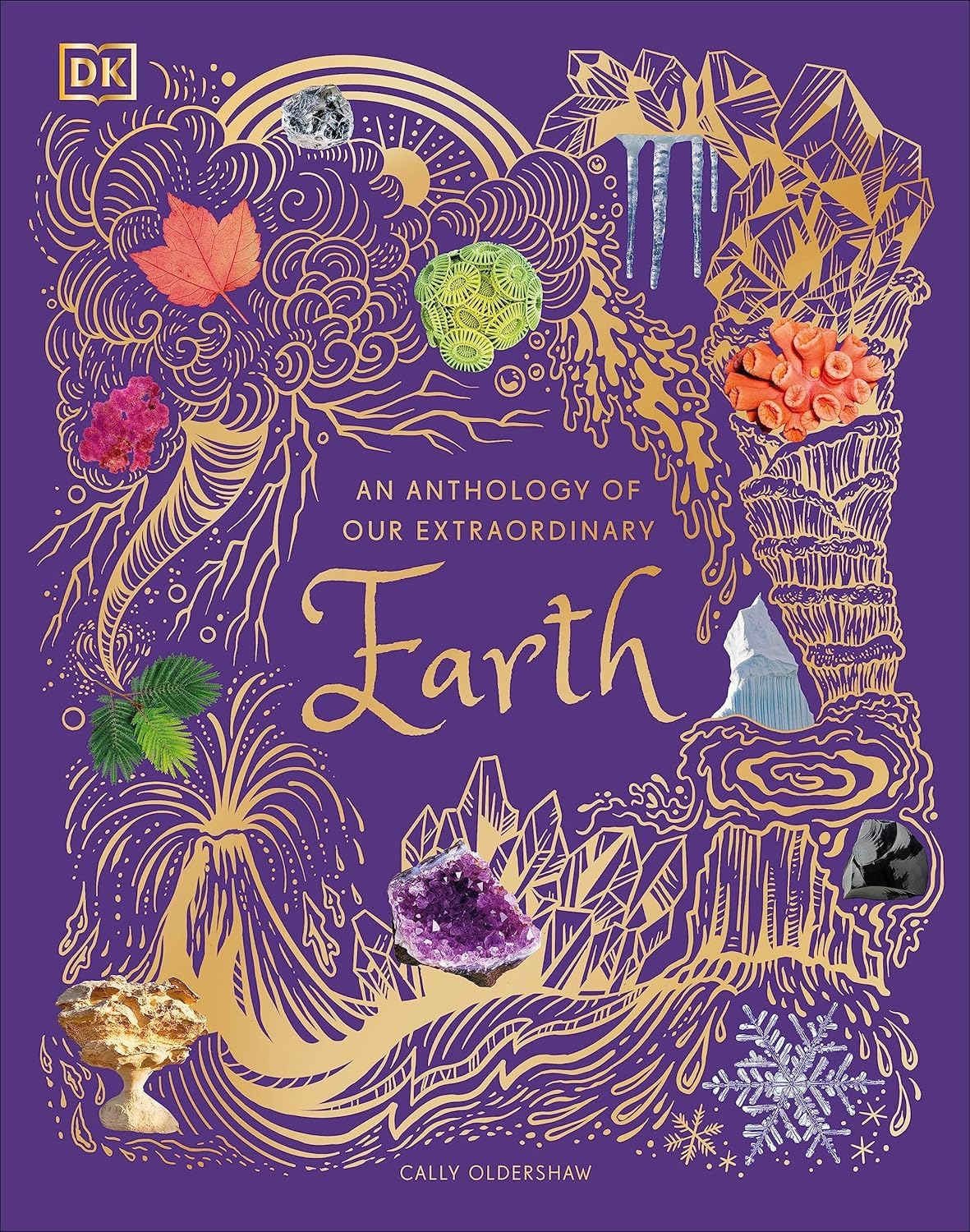 DK Children's Anthologies 3 Book Hardback Set by Jess French - Remarkable Bugs, Extraordinary Earth & Exquisite Birds - Ages 7-9 - Nature Gift Set