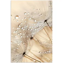 POSTER Löwenzahn - Abstrakt - Natur - Beige Wanddeko 40x60 cm