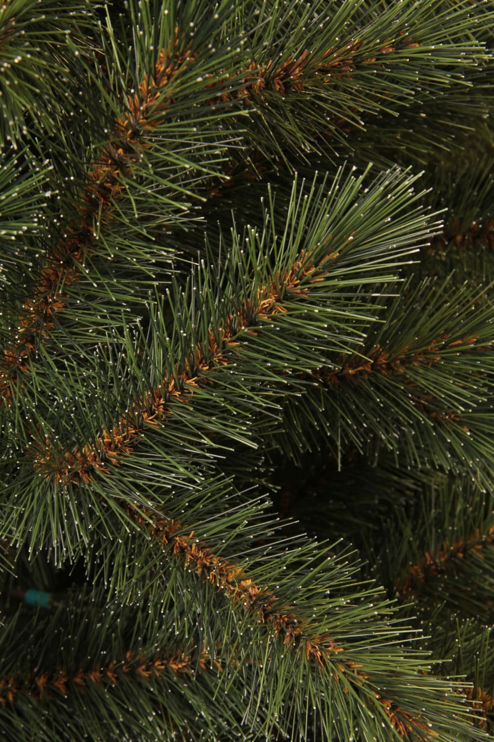 Triumph Tree sapin de Noël artificiel Bristlecone Fir Vert Plastique H120 Vert 79x120x79cm