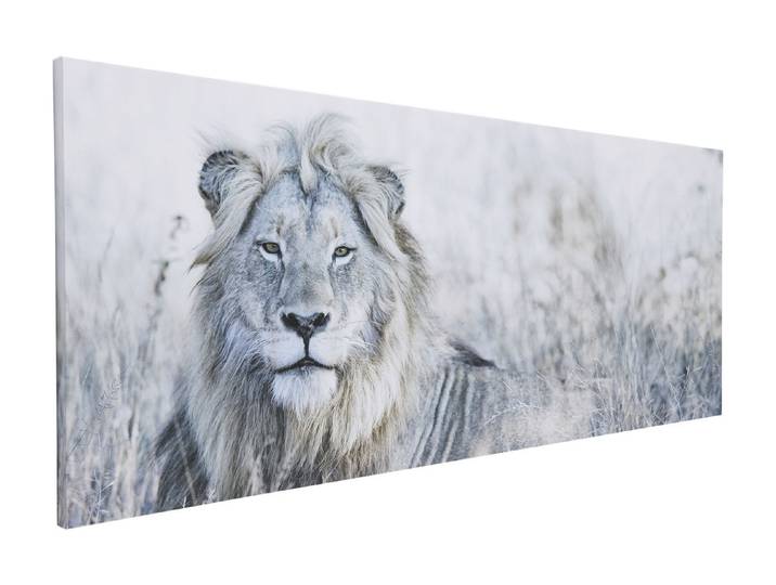 Wandbild 57x150 Lion out in the Field