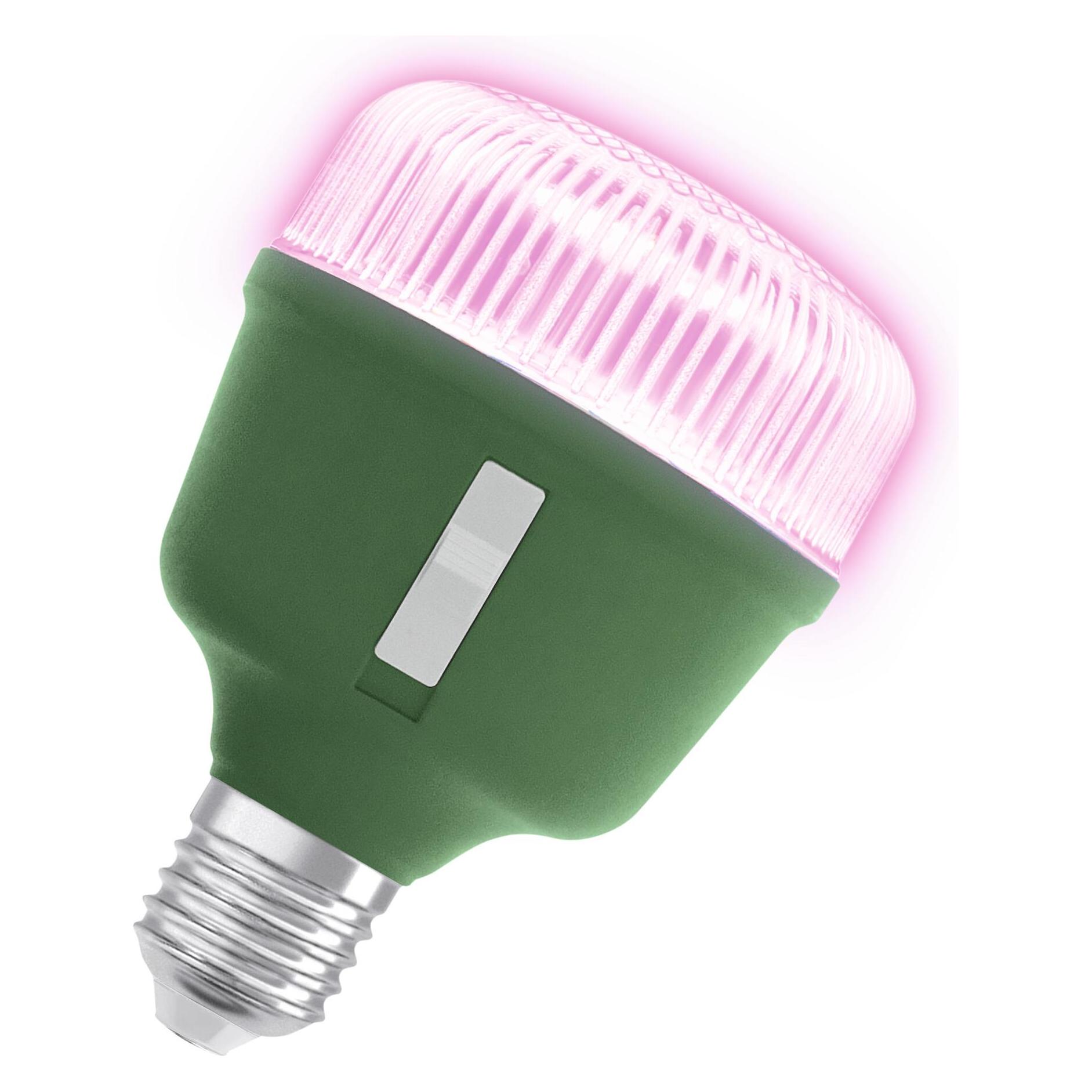 Osram Homelighting (LED, 220 - 240 V) (4058075845787)