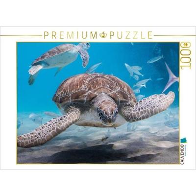 CALVENDO Puzzle Suppenschildkröte - Karibik / Curaçao | 1000 Teile Lege-Größe 64x48cm Foto-Puzzle für glückliche Stunden