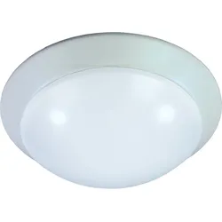 RP-Technik Sicherheitsleuchte QAW421WL-BM