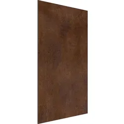 Duschrückwand Rost BxHxT 1000x2500x3 mm Evenes