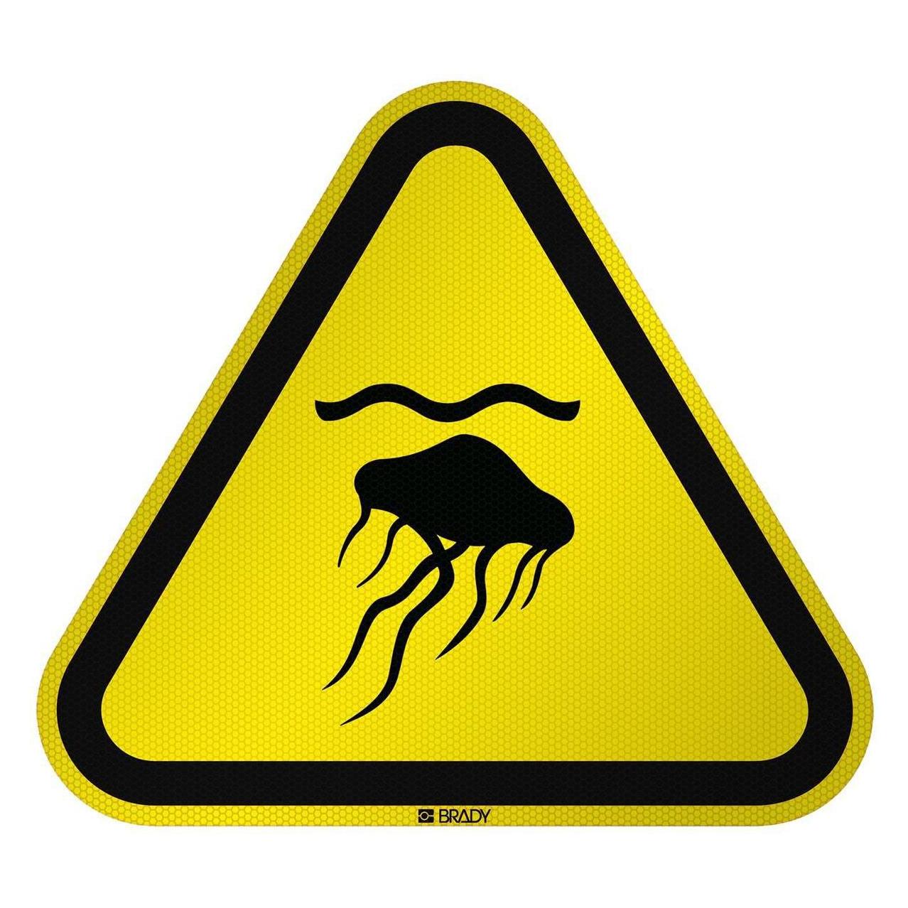 Brady ISO Safety Sign - Warning (W/W069/NT/RFL-TRI315-1)